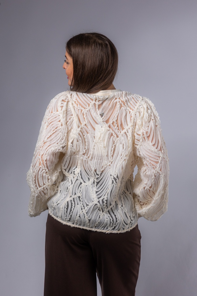 12581_EC_Back